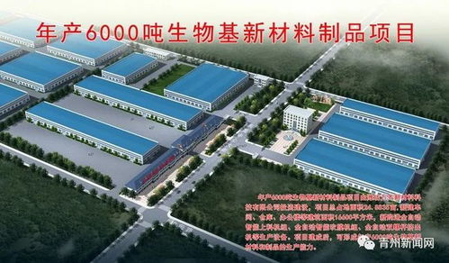 青州126.1亿元项目 开工
