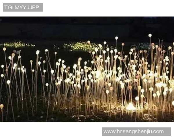 老男孩与铁路工场的青春碰撞与梦想追逐之旅